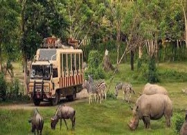 Safari Park - Dubai tour by Instasky Tourism